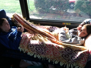 Sleeper buses are the best!